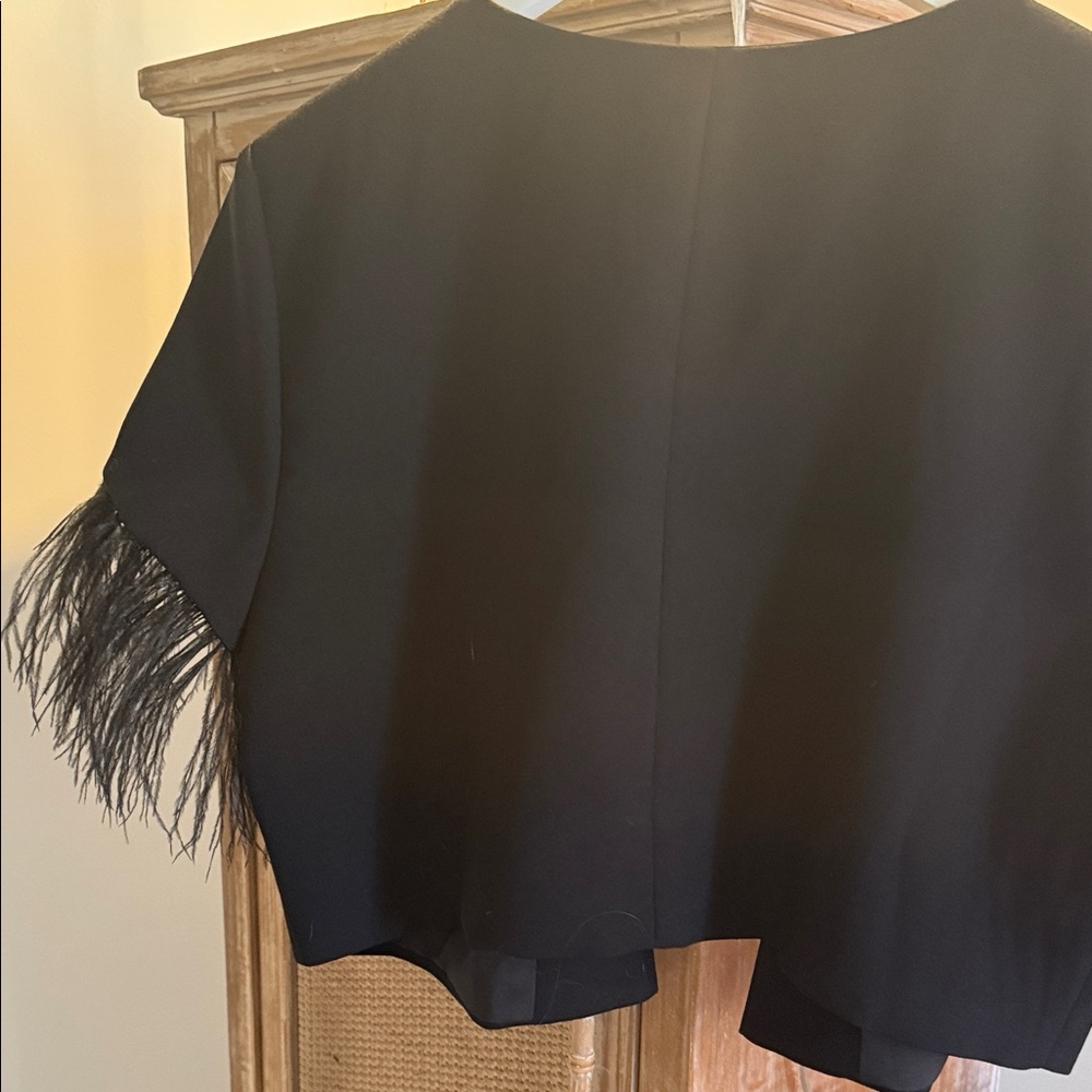 SLAY!!! Black Feather Sleeve Crop Jacket - Picture 9 of 12